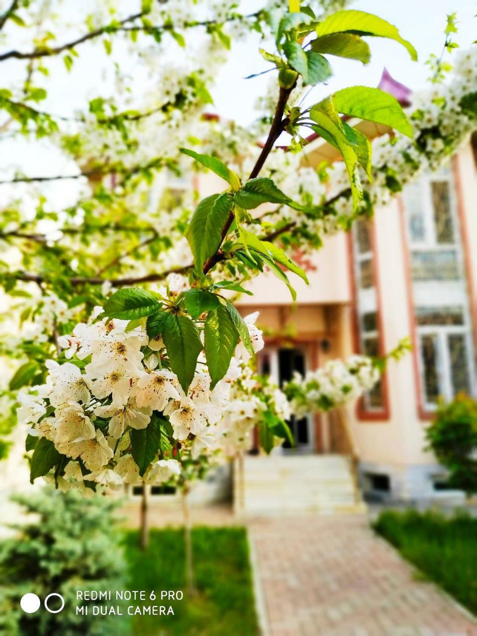 Rakat Inn Navigator Tasjkent Buitenkant foto